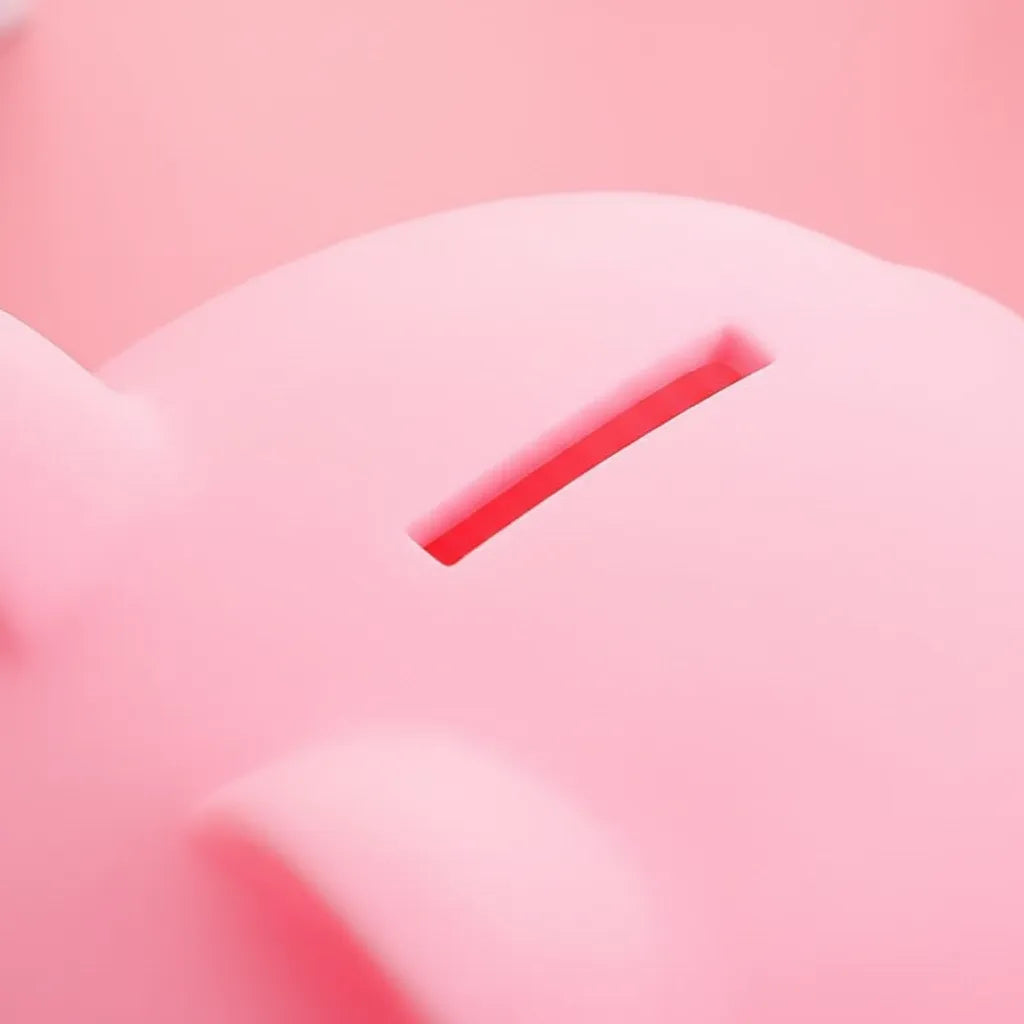 Petite Tirelire Cochon