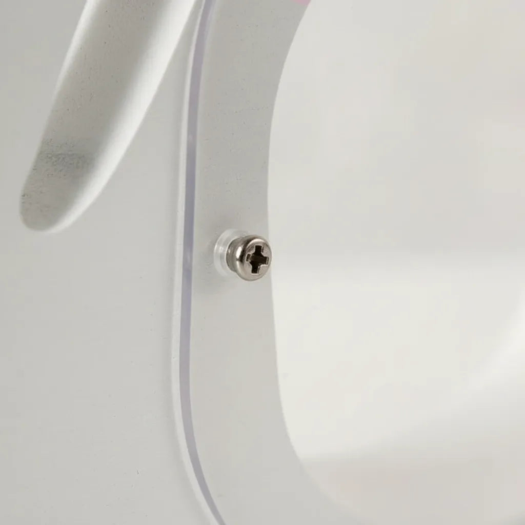 Tirelire Cygne Transparente